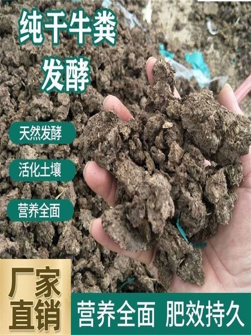 有机肥里的‘鸡粪’选购秘籍